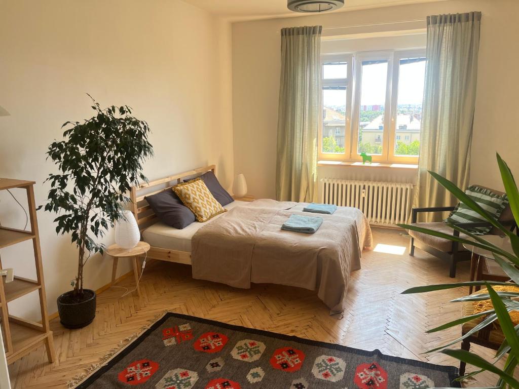 Stylový a slunný byt s uměleckým nádechem v blízkosti centra photo 2