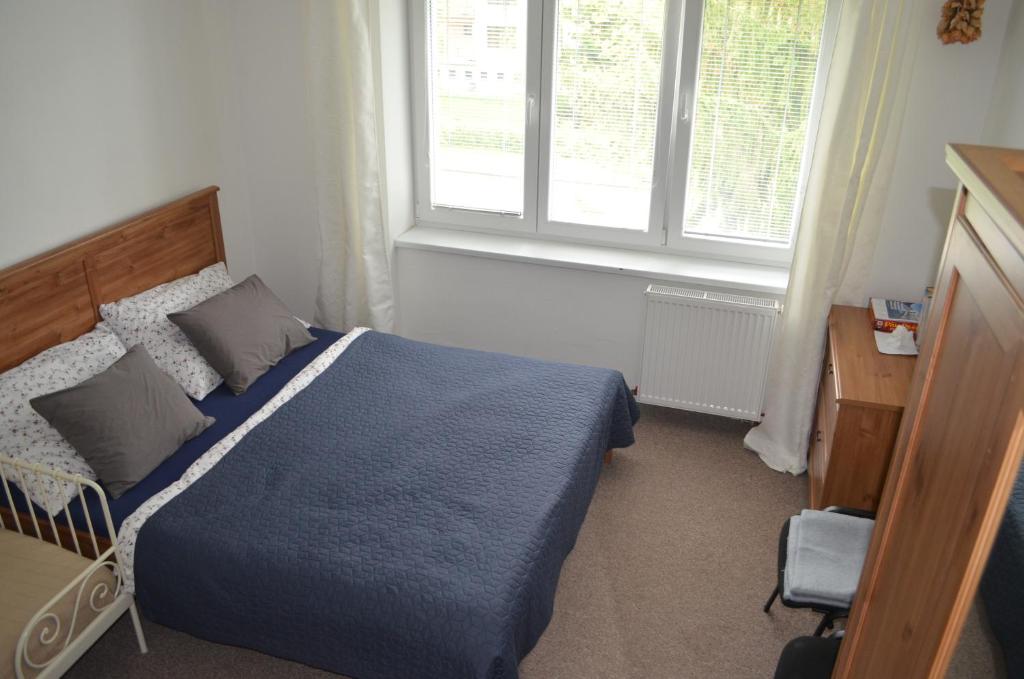 ROOM IN TREBON photo 2