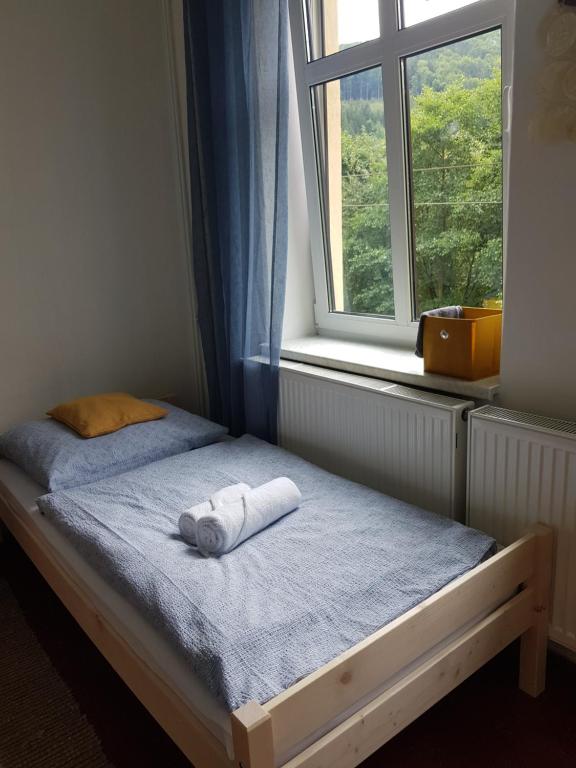 Schupplerova vila photo 2