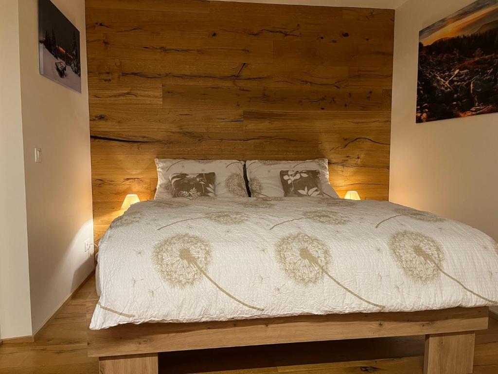 STEZKA horský apartmán Dolní Morava photo 3