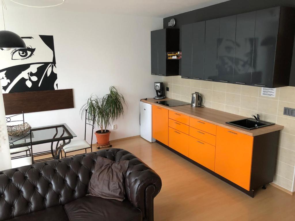 Richie Apartment near Aquapark — photo 1