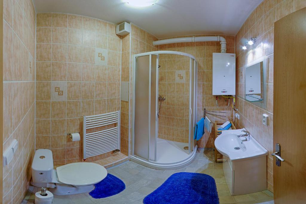 Apartmán Borůvka photo 3