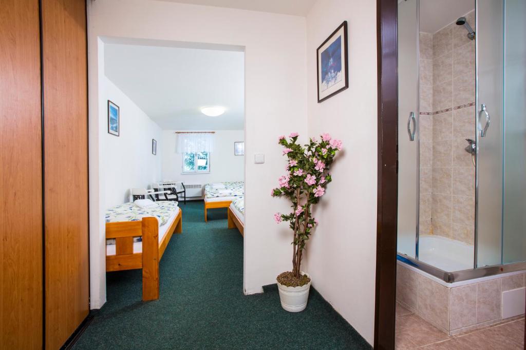 Chata Pod lipami photo 3