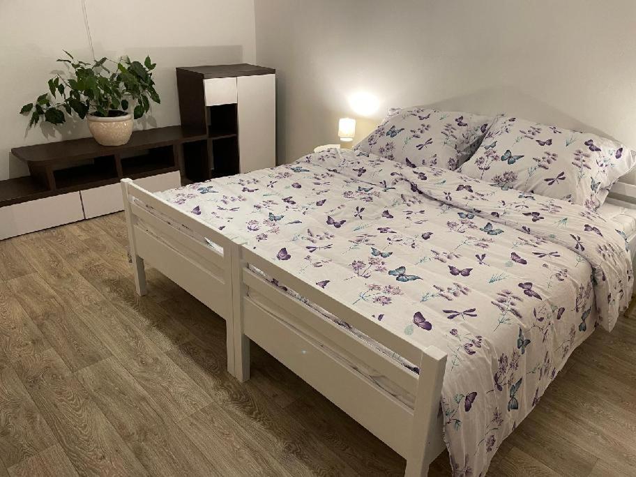 Sunny apartment Trutnov photo 2