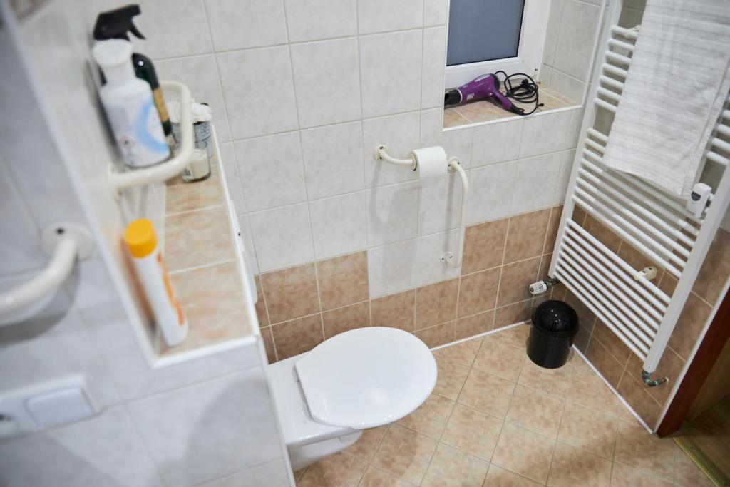 Sunny apartment Trutnov photo 3