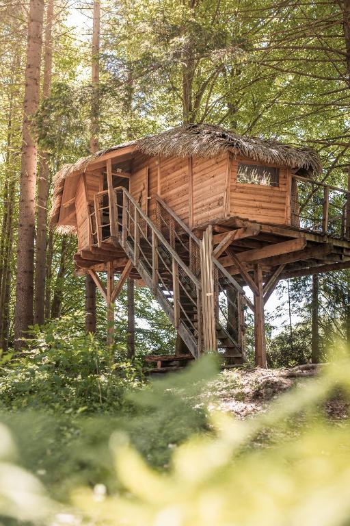 Treehouse Šumava — photo 1