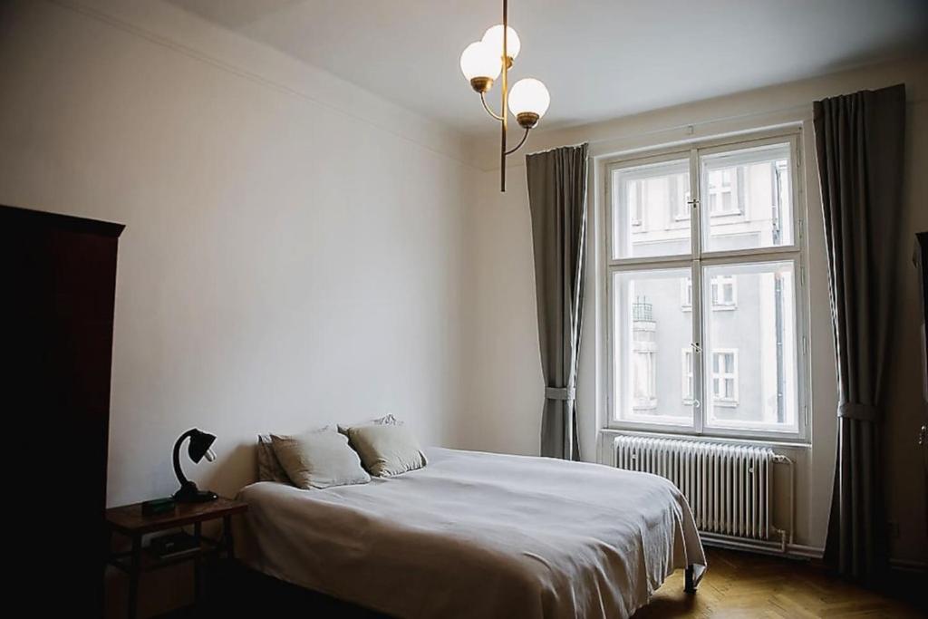Stylish and unique 2 bedroom flat with balcony in Letna photo 2