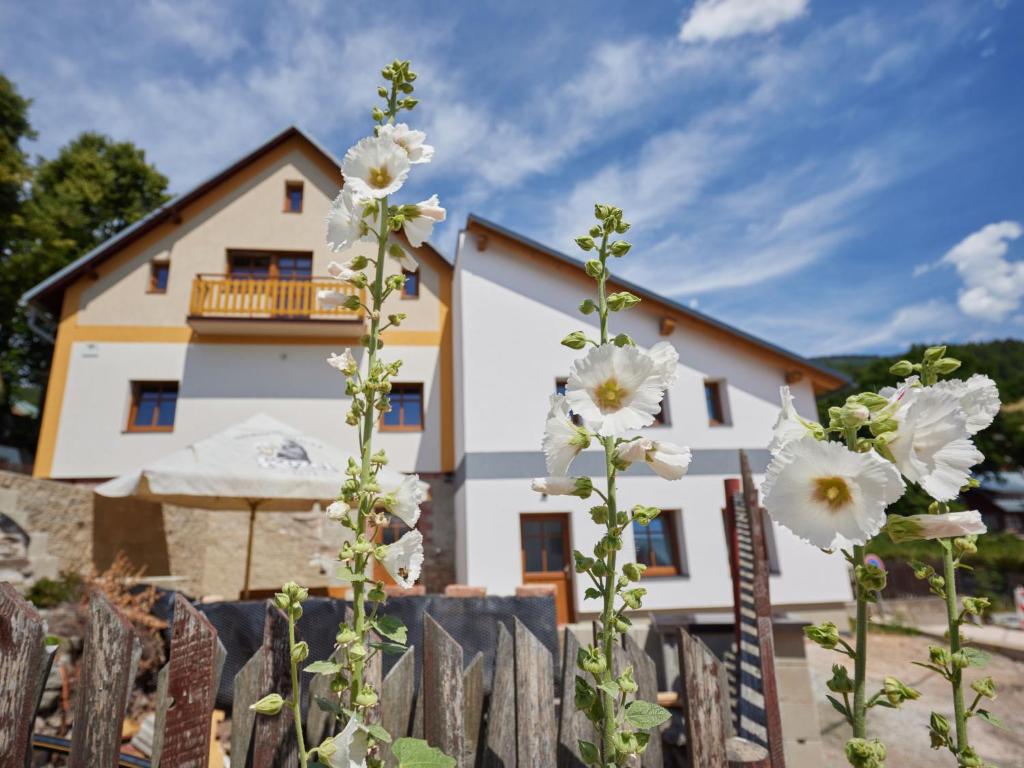 Apartment Marika 1 by Interhome photo 2