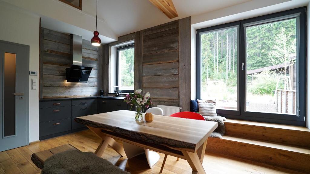 SKOG HARRACHOV duplex apartment — photo 1