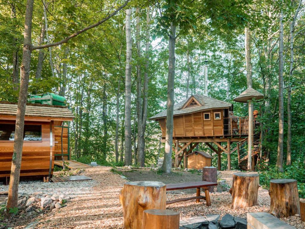 Treehous Sněžník s wellness photo 3