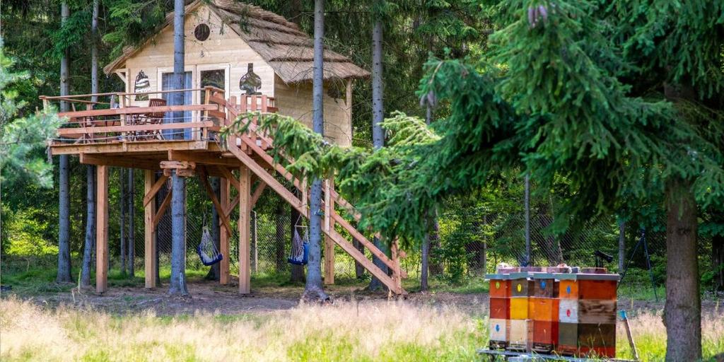 Treehouse U lesa — photo 1