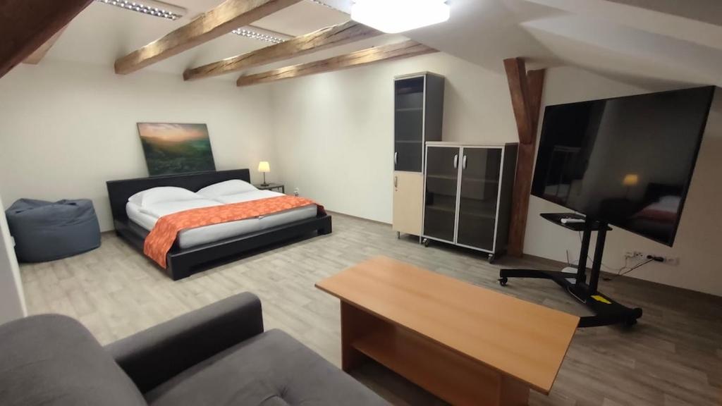 Symbiola Apartments photo 2
