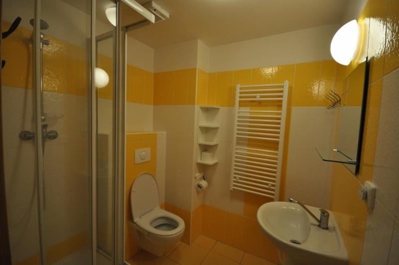 Studio Apartments Lipno 22 photo 3