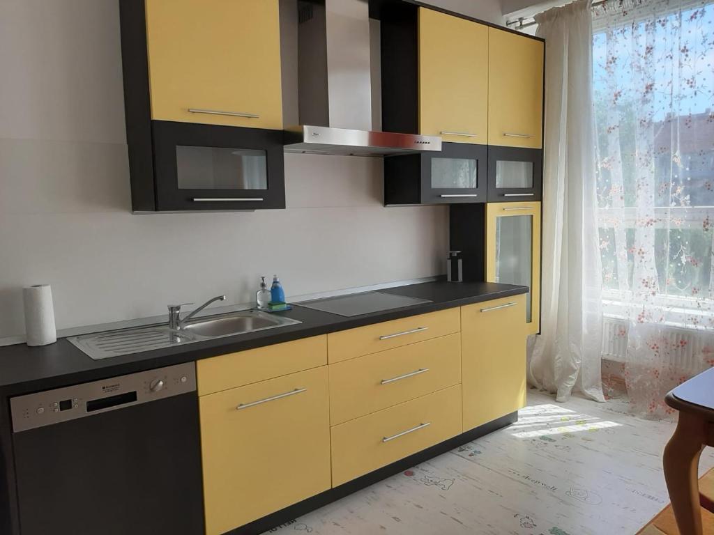 Žlutý apartmán A6 v Chomutově photo 3