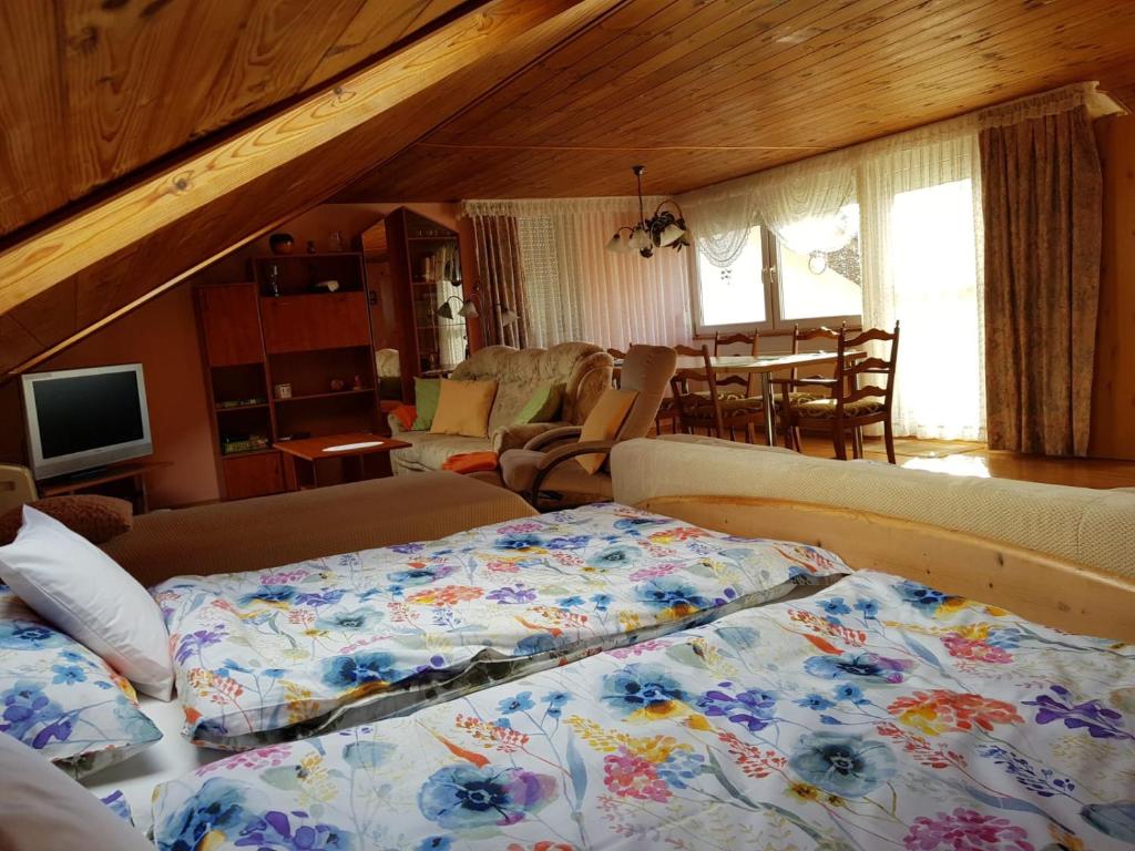 Apartmán v rodinném domě photo 2