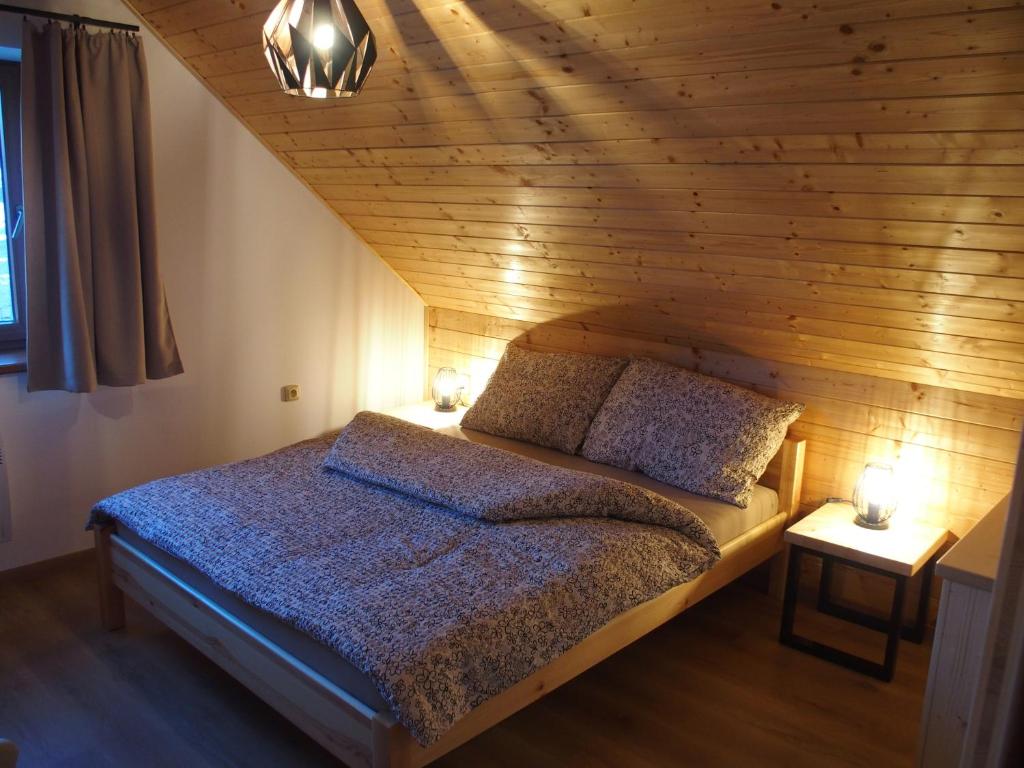 Sjezdovka Bušín photo 2