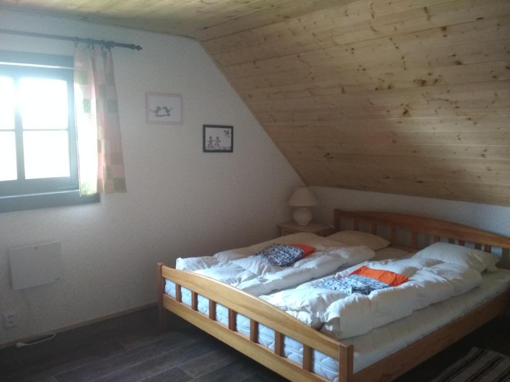 Roubenka Janka photo 2