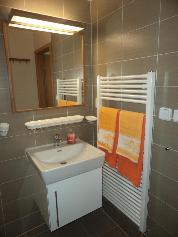 Apartmán Lucie Špindlerův Mlýn photo 3