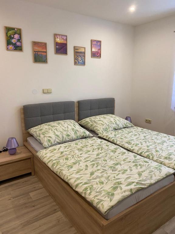 Slunný domek s terasou a zahradou photo 2