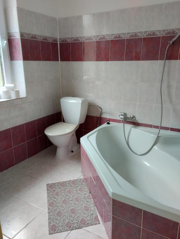 Štempel Karol photo 3