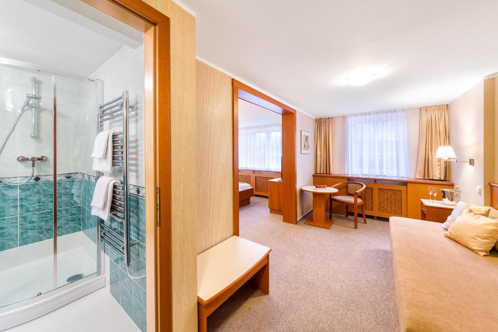 Hotel Sněžka photo 3