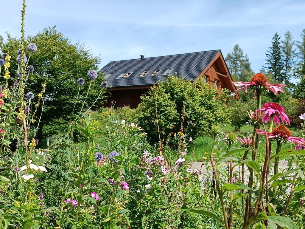 Srub Javorná - apartmány Šumava photo 3