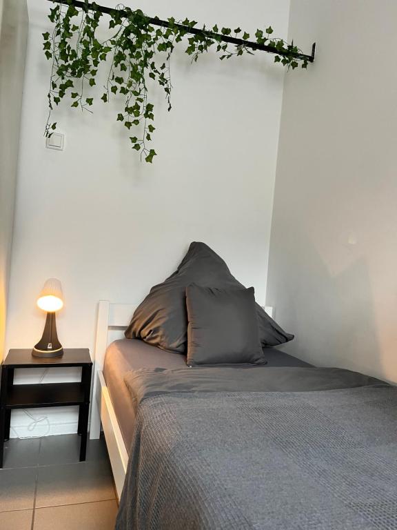 Apartment Central 10D 55qm Wi-Fi free Parking calm back house photo 2