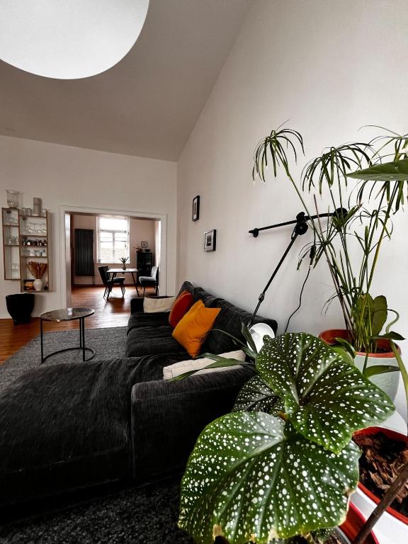 City Apartment - historic charm — photo 1