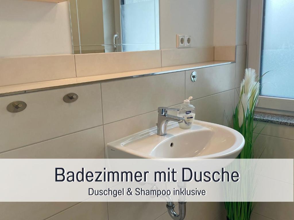 Wunderschöne 2-Zimmerwohnung mit Garten photo 3