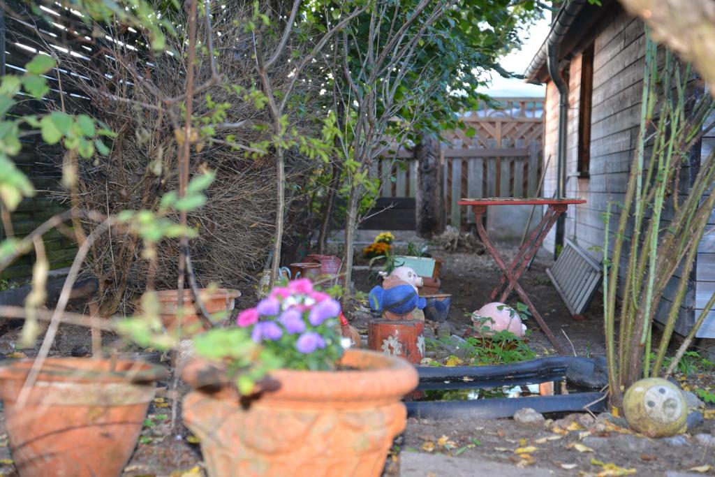 Gästehaus Kevin Schult — photo 1