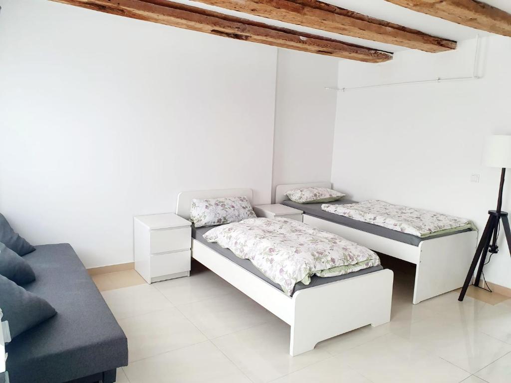 Nice and bright flat in Pankow photo 2