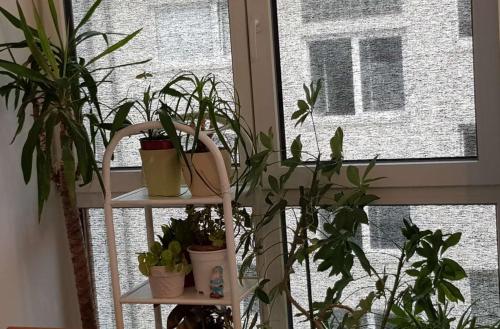 Fair City center Frankfurt photo 2