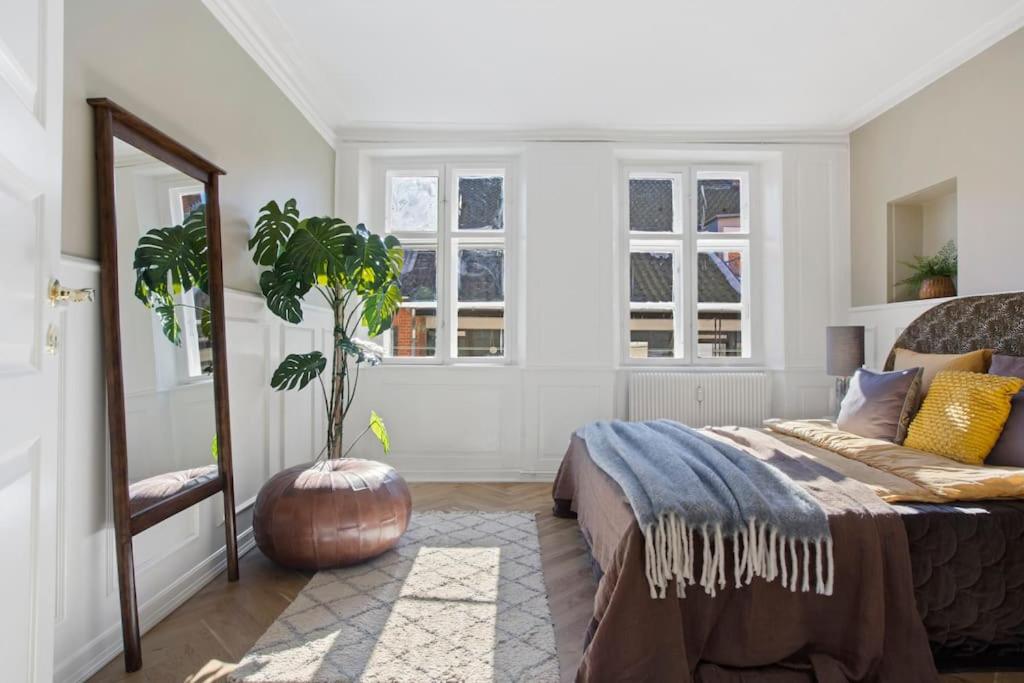 Amazing apartment in the center of Helsingør photo 2