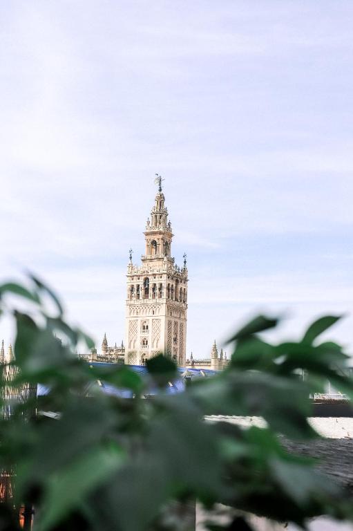 Alohamundi Catedral — photo 1