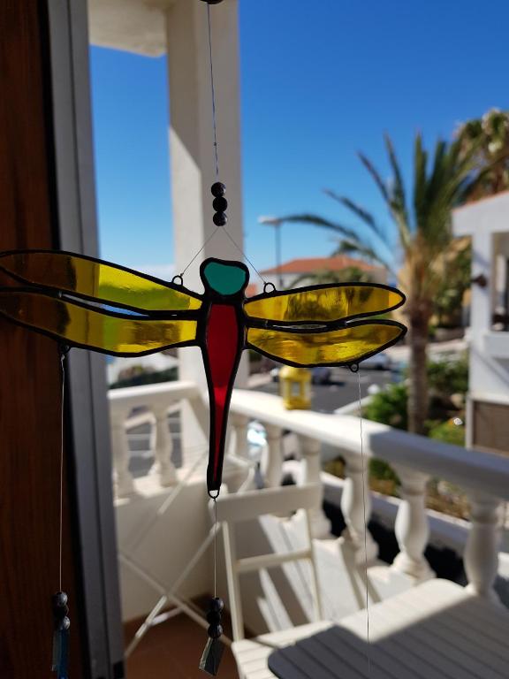 The Magic Dragonfly — photo 1