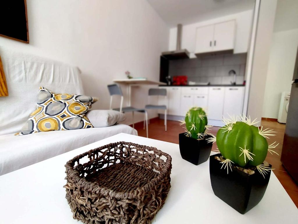 Tarifa Salada — photo 1