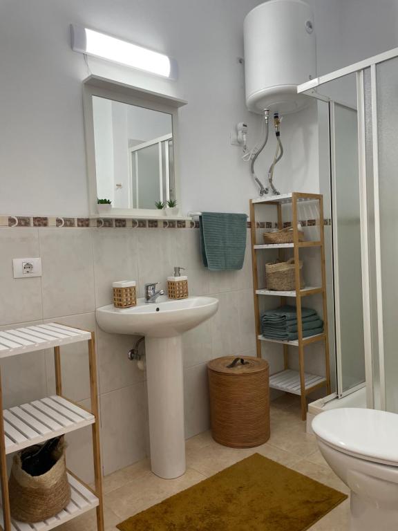 Sunny Apartment in the Heart of Santa Cruz photo 3