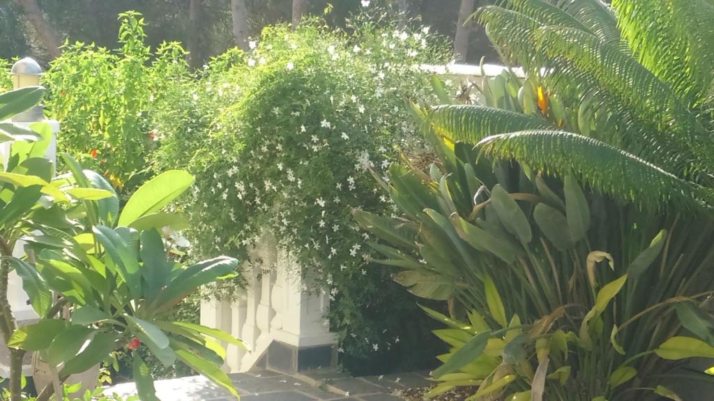 Estrella Del Mar Tranquil and spacious villa — photo 1