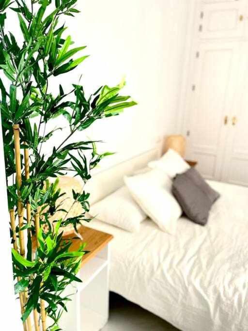 Apartamento tranquilo en barrio bohemio — photo 1