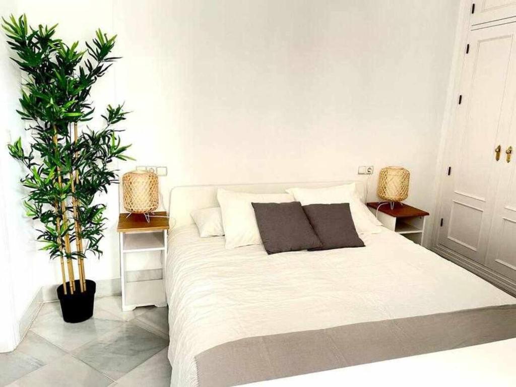 Apartamento tranquilo en barrio bohemio photo 2