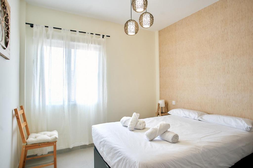 Work & Pet friendly Urban Home next to the Beach photo 2