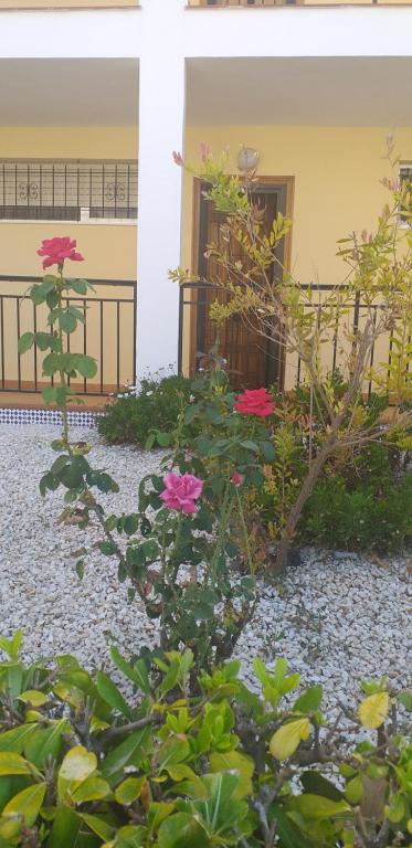 Romantic apartment 50 meters from the sea photo 2