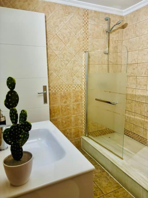 Spacious Apartment with sea views D photo 3