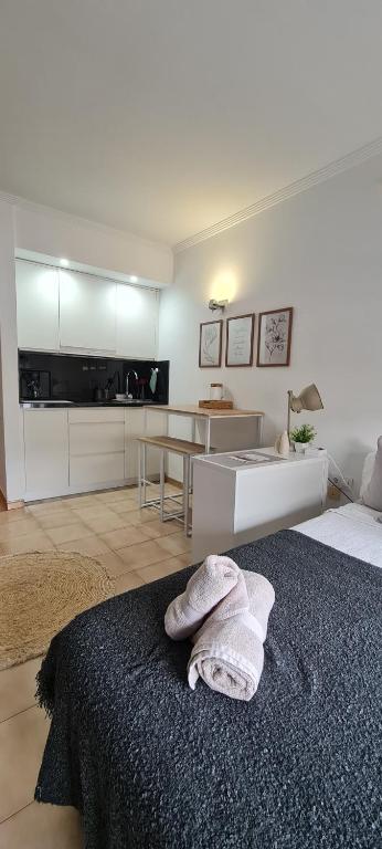 Suite céntrica — photo 1