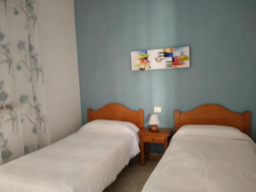 TAJINASTE photo 2