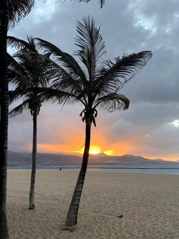 Beach Appartment 2 bedrooms 5 people — photo 1