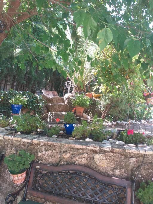 la Vega Fuente las moreras — photo 1