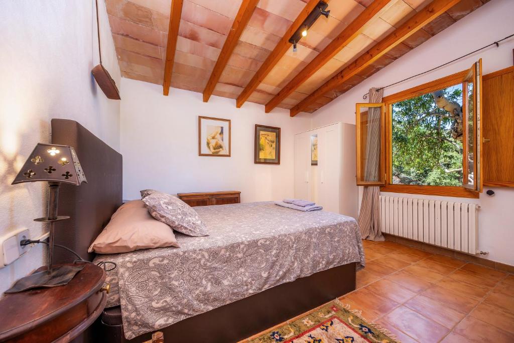 Tramuntana photo 2