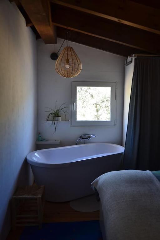 The African House photo 3
