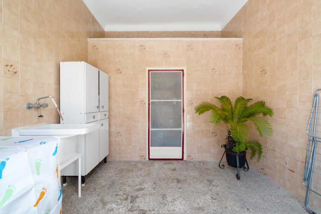 Homely Apartments Casa Carmen photo 3